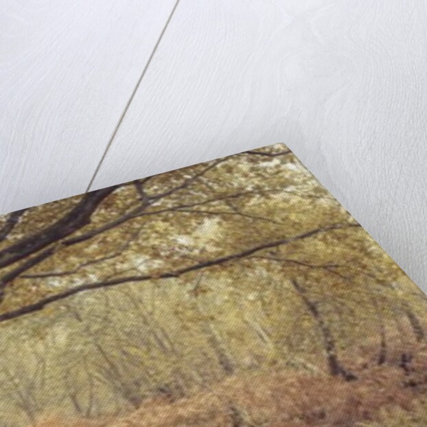 Canal through forest by Assaf Frank